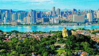 推進(jìn)城市治理體系和治理能力現(xiàn)代化 廈門各界掀起學(xué)習(xí)貫徹黨的十九屆四中全會(huì)精神熱潮